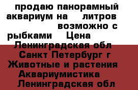 продаю панорамный аквариум на 40 литров-40-40-16-16-35 возможно с рыбками, › Цена ­ 1 200 - Ленинградская обл., Санкт-Петербург г. Животные и растения » Аквариумистика   . Ленинградская обл.